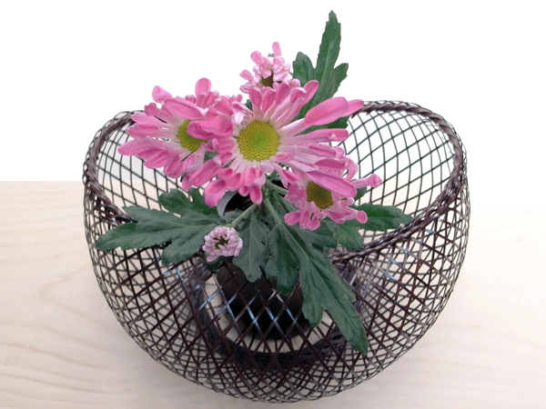  菱目まゆ花篭　大 