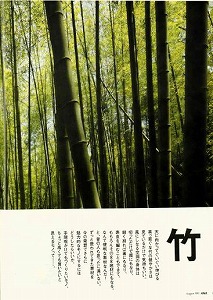 20120731記事1.jpg