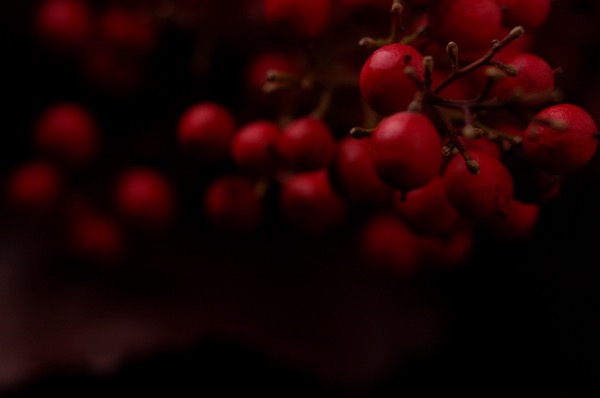 th_0051.jpg